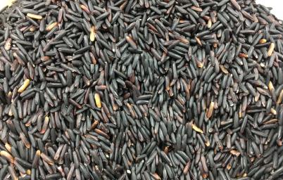 black rice-2eaaa03355380bc6380e5a4ce188db47.jpeg